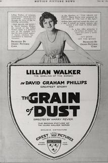 Profilový obrázek - The Grain of Dust