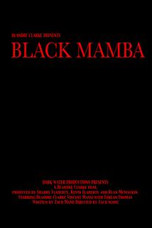 Profilový obrázek - The Black Mamba