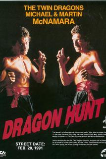 Profilový obrázek - Dragon Hunt