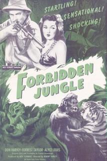 Profilový obrázek - Forbidden Jungle