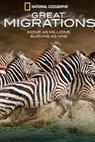 Great Migrations 