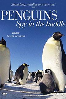 Profilový obrázek - Penguins: Spy in the Huddle