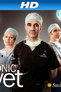 Profilový obrázek - The Bionic Vet