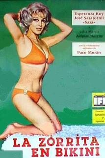 Profilový obrázek - La zorrita en bikini