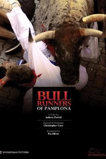 Profilový obrázek - Bull Runners of Pamplona