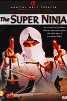 Profilový obrázek - The Super Ninja