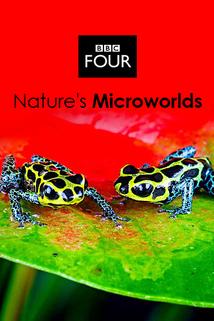 Profilový obrázek - Nature's Microworlds