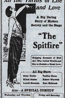 Profilový obrázek - The Spitfire