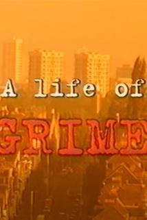 Profilový obrázek - A Life of Grime