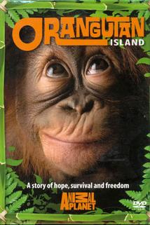 Profilový obrázek - Orangutan Island