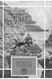 Profilový obrázek - The Night Hawk