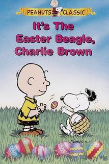 Profilový obrázek - It's the Easter Beagle, Charlie Brown!