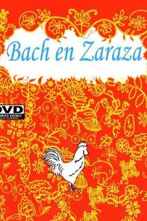 Profilový obrázek - Bach en Zaraza