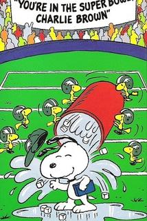 Profilový obrázek - You're in the Super Bowl, Charlie Brown!