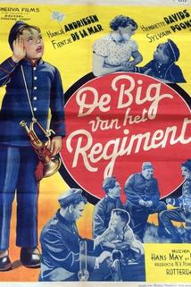 Profilový obrázek - De Big van het regiment