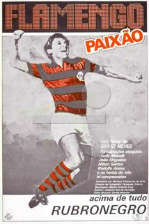 Profilový obrázek - Flamengo Paixão