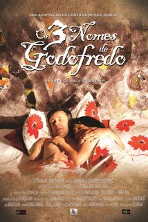 Profilový obrázek - Os Três Nomes de Godofredo