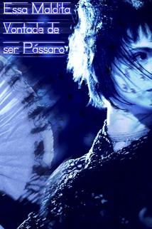 Profilový obrázek - Essa Maldita Vontade de Ser Passaro
