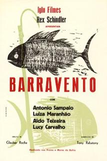 Profilový obrázek - Barravento