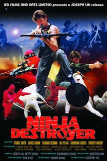 Ninja Destroyer  - Ninja Destroyer