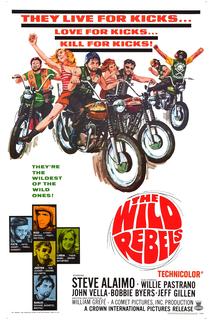 Profilový obrázek - The Wild Rebels