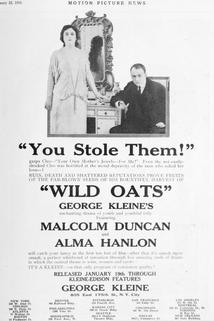 Profilový obrázek - Wild Oats