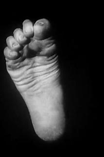 Profilový obrázek - Le pied qui étreint