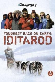 Profilový obrázek - Iditarod