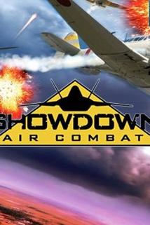 Profilový obrázek - Showdown: Air Combat