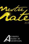 Gala premios Mestre Mateo 2012 