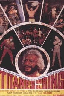 Profilový obrázek - Titanes en el ring