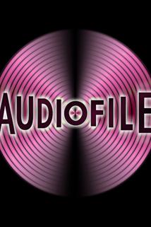 Profilový obrázek - AudioFile