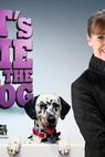 It's Me or the Dog (2008)