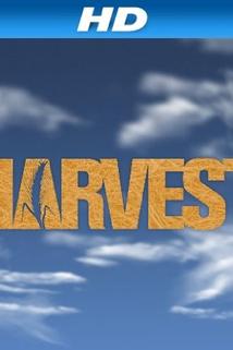 Profilový obrázek - Harvest