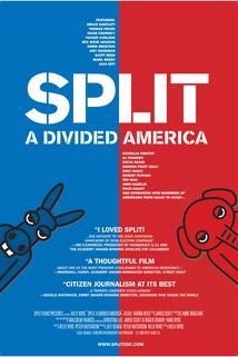 Profilový obrázek - Split: A Divided America