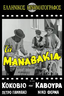 Profilový obrázek - Ta manavakia