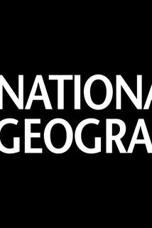 Profilový obrázek - National Geographic Investigates