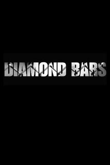 Profilový obrázek - Diamond Bars