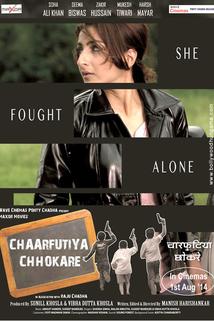 Profilový obrázek - Chaarfutiya Chhokare