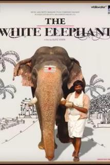 Profilový obrázek - The White Elephant