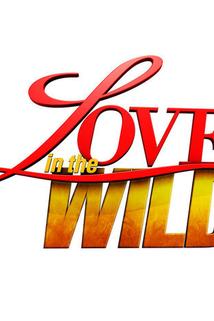 Profilový obrázek - Love in the Wild
