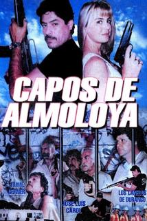 Profilový obrázek - Capos de almoloya