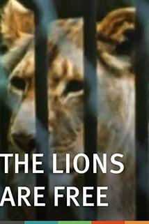 Profilový obrázek - The Lions Are Free