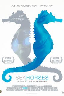 Profilový obrázek - Seahorses
