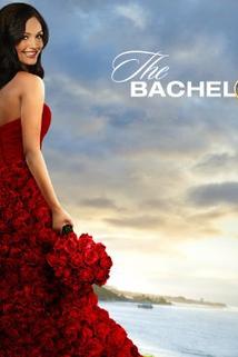 Profilový obrázek - The Bachelor's Funniest Moments