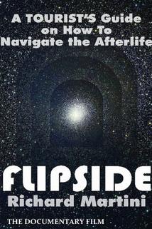 Flipside: A Journey Into the Afterlife  - Flipside: A Journey Into the Afterlife