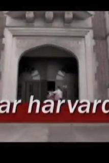 Profilový obrázek - Dear Harvard