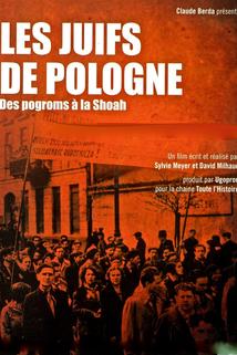 Profilový obrázek - Les Juifs de Pologne, des pogroms à la Shoah
