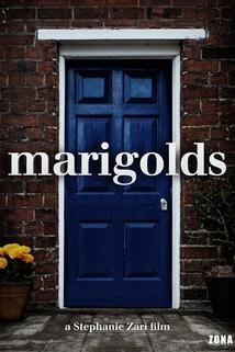 Profilový obrázek - Marigolds