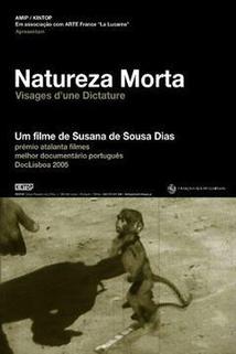 Profilový obrázek - Natureza Morta